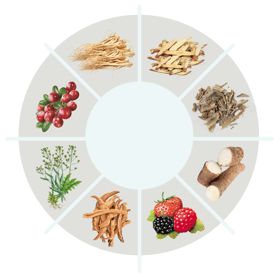 FitSpresso ingredient circle